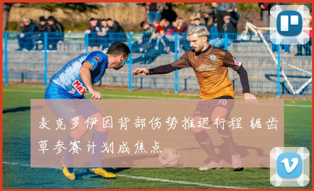 麦克罗伊因背部伤势推迟行程 锯齿草参赛计划成焦点