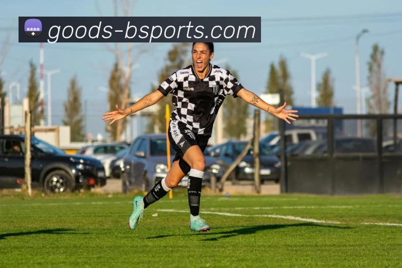 B体育平台生态图